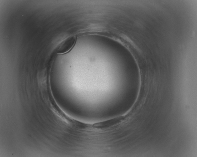 X0000083531450200702090954