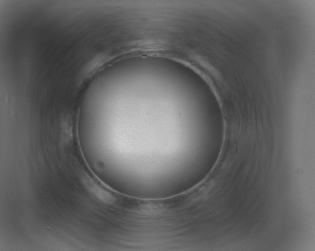 X0000083531451200702090954