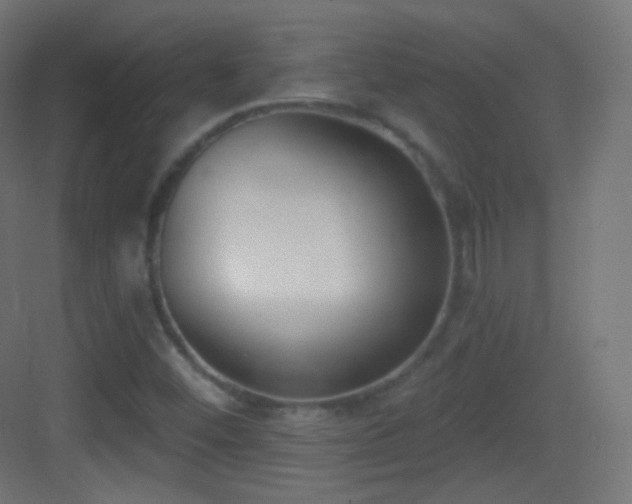 X0000083531452200702090954