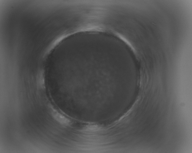 X0000083531455200702090954