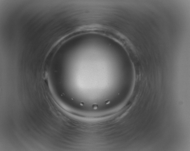X0000083531457200702090954