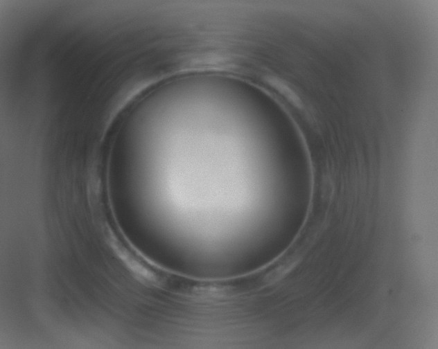 X0000083531458200702090954