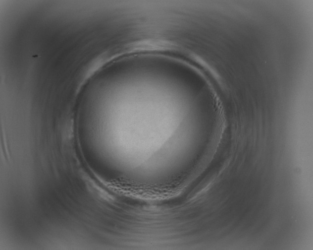 X0000083531459200702090954