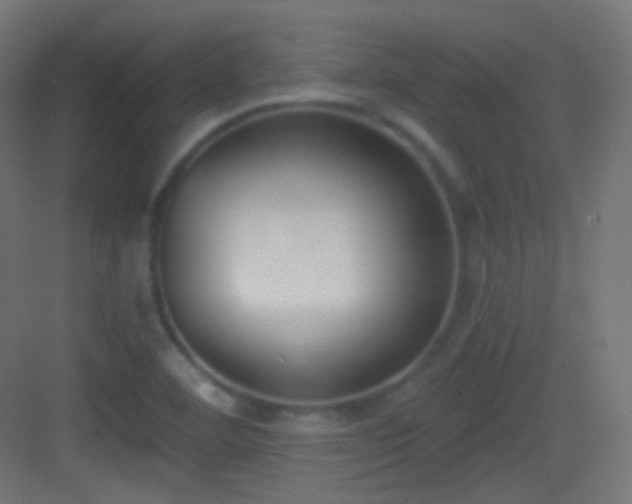 X0000083531460200702090954