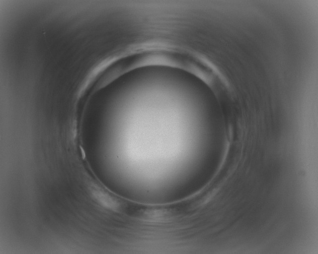 X0000083531461200702090954