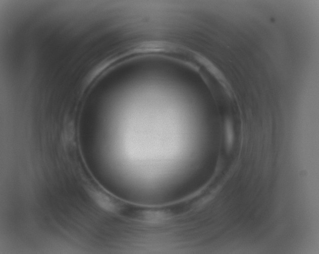 X0000083531465200702090954