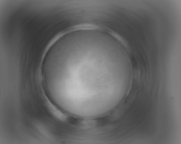 X0000083531466200702090954