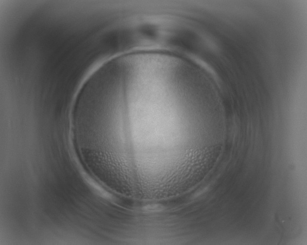 X0000083531467200702090954