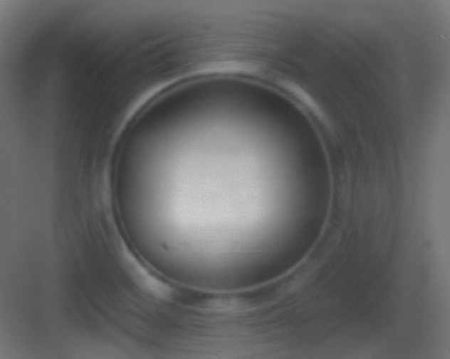 X0000083531468200702090954