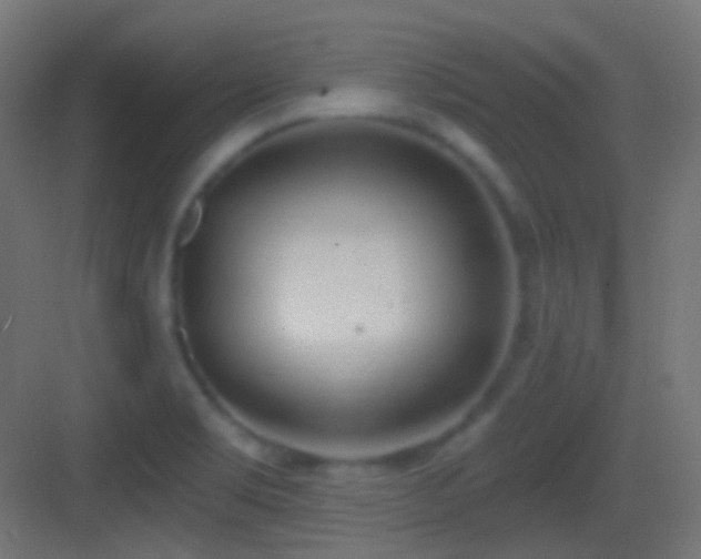 X0000083531469200702090954