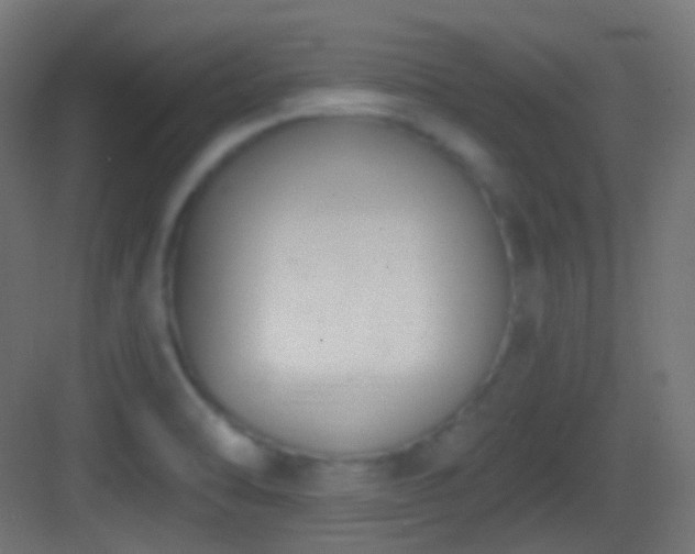 X0000083531470200702090954