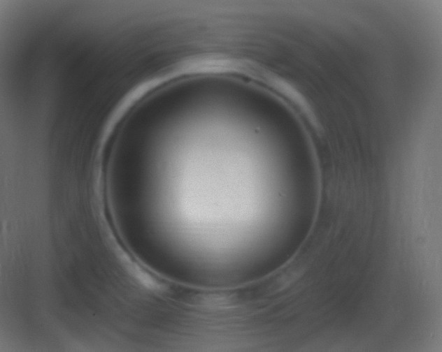 X0000083531472200702090953