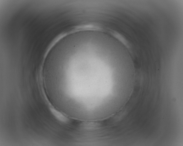 X0000083531474200702090953