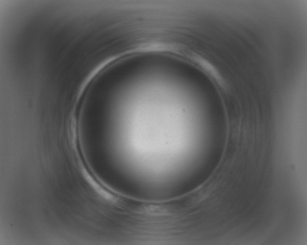 X0000083531476200702090953