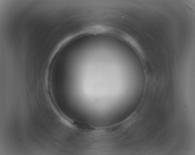 X0000083531477200702090953