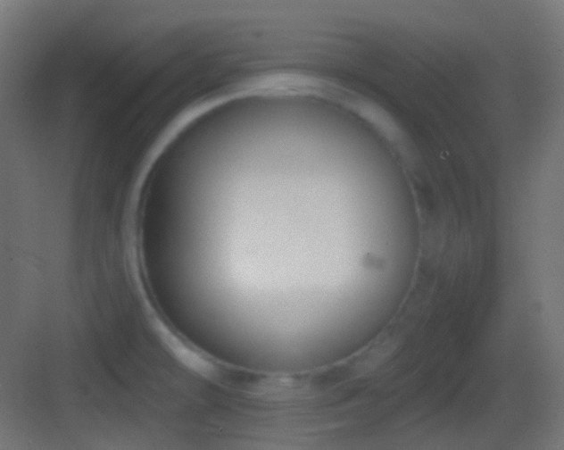 X0000083531478200702090953