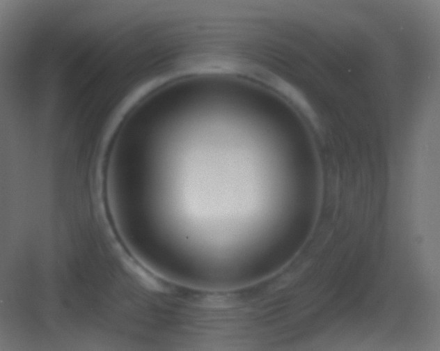 X0000083531480200702090953