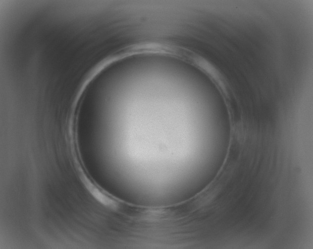 X0000083531482200702090953