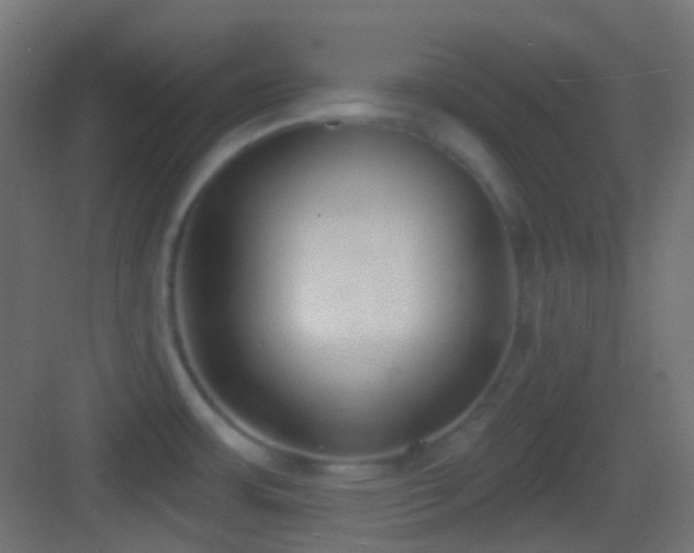 X0000083531483200702090953