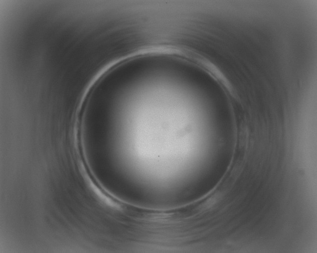 X0000083531484200702090953