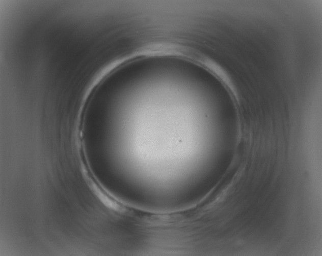 X0000083531485200702090953