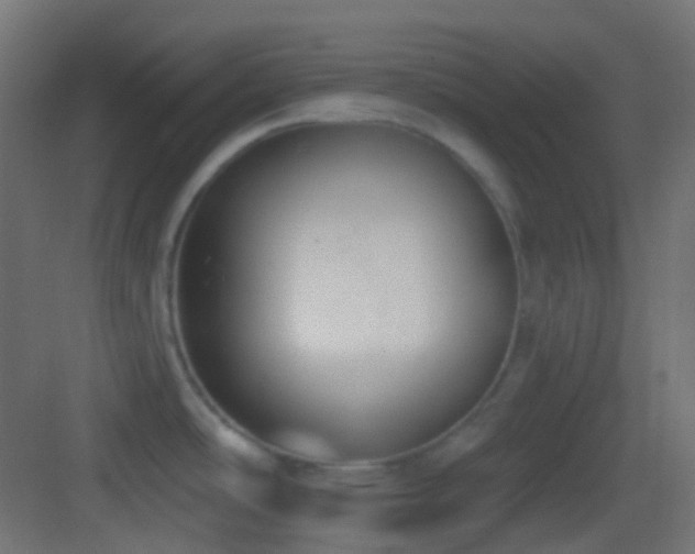 X0000083531486200702090953