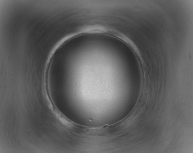 X0000083531488200702090953
