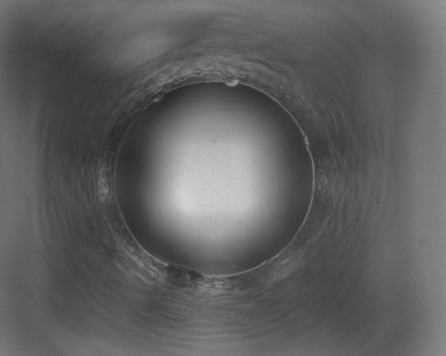 X0000083531490200702090952