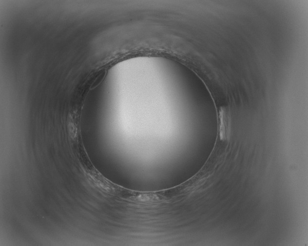 X0000083531491200702090952