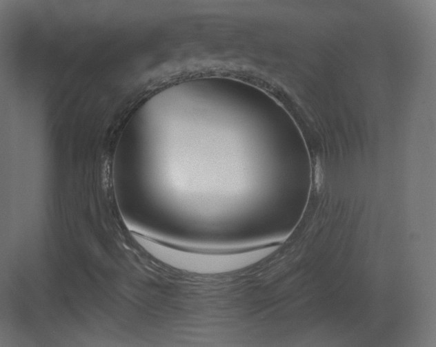 X0000083531492200702090952