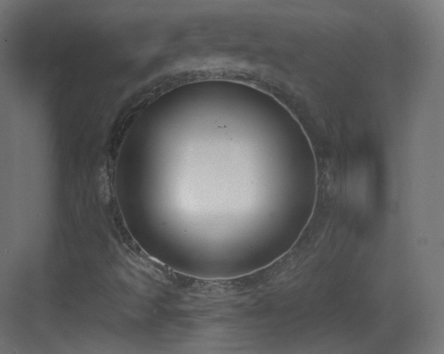 X0000083531493200702090952