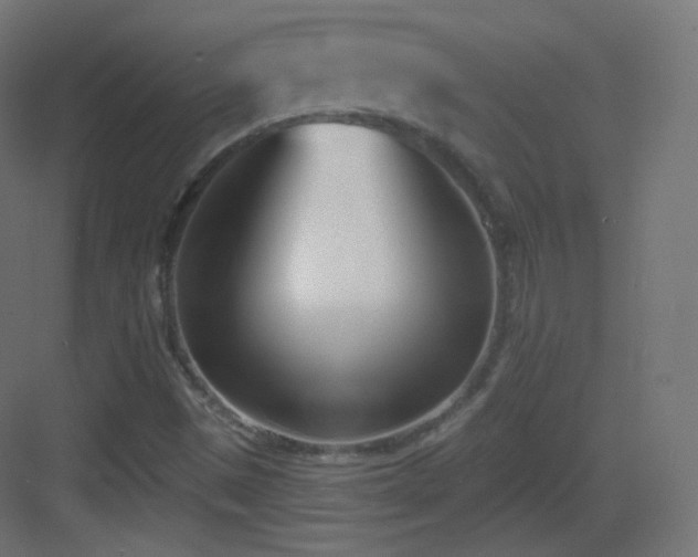 X0000083531497200702090953