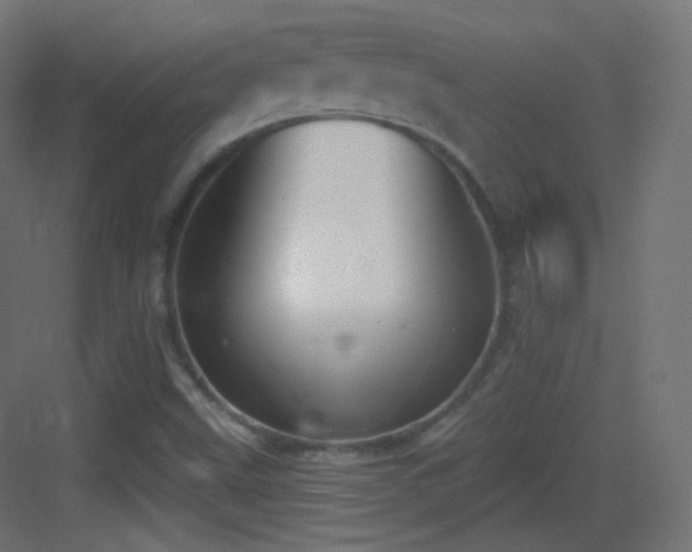 X0000083531499200702090953