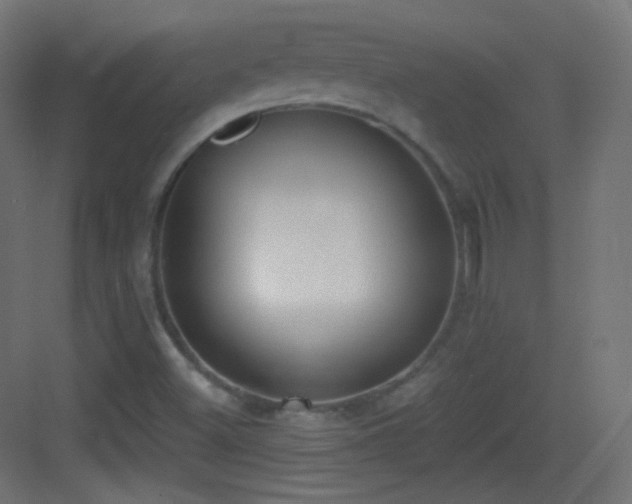 X0000083531500200702090953
