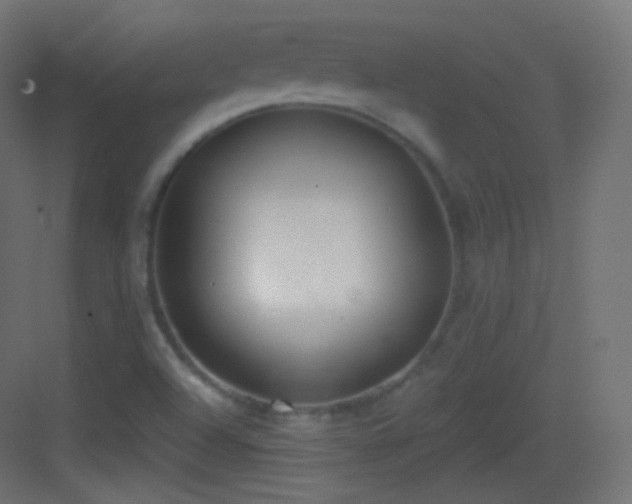 X0000083531504200702090953