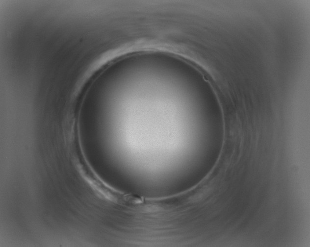 X0000083531507200702090953