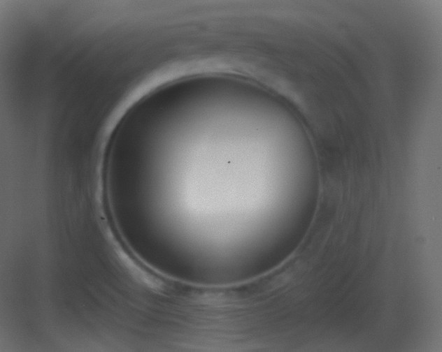 X0000083531512200702090953