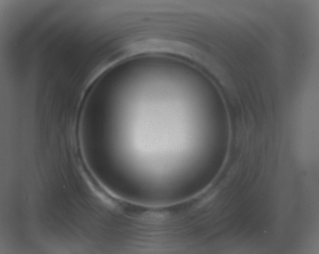 X0000083531513200702090953
