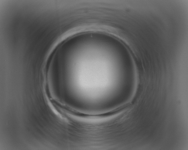 X0000083531515200702090953