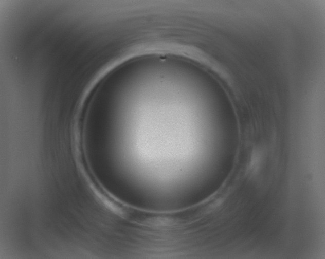 X0000083531517200702090953