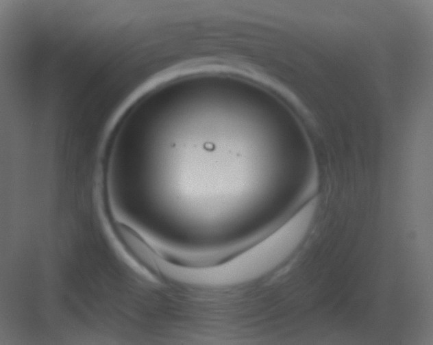 X0000083531518200702090953