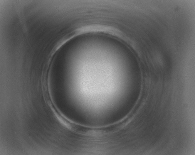 X0000083531521200702090953