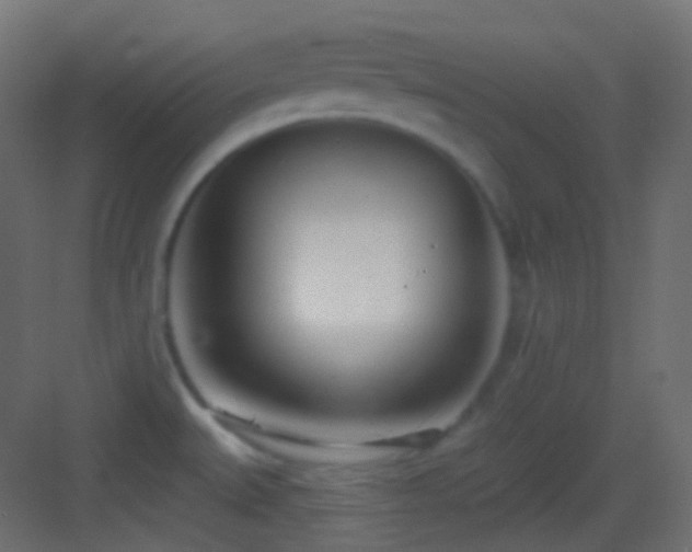 X0000083531527200702090953
