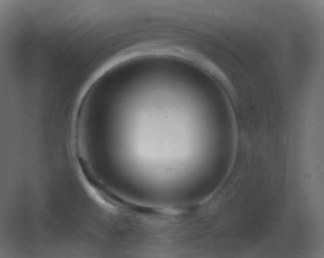 X0000083531528200702090953