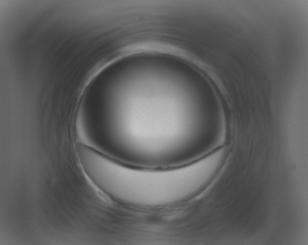 X0000083531529200702090953