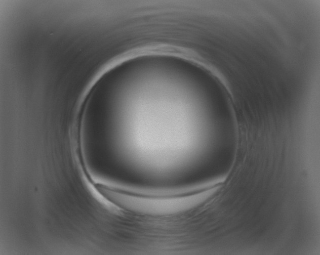 X0000083531531200702090953