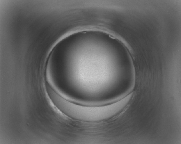 X0000083531534200702090953