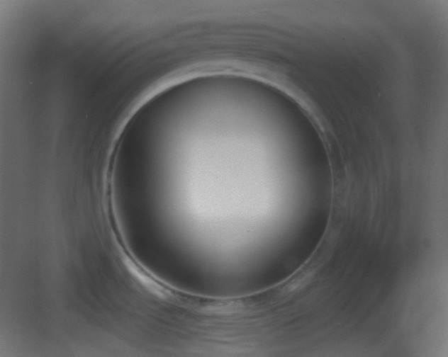 X0000083531535200702090953