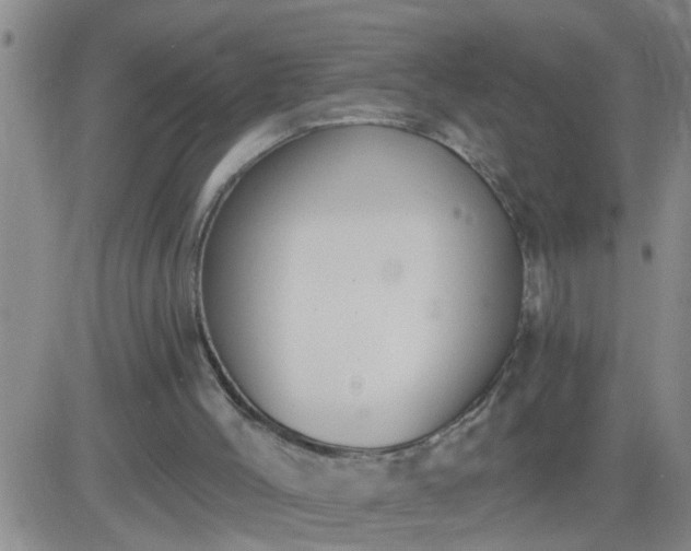 X0000083530004200702161924