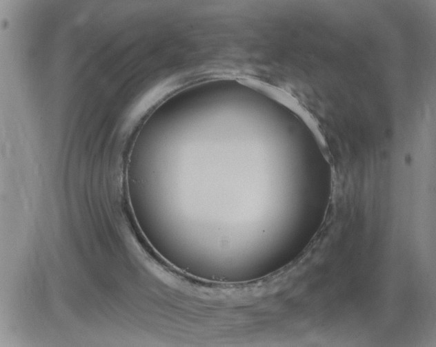 X0000083530005200702161924